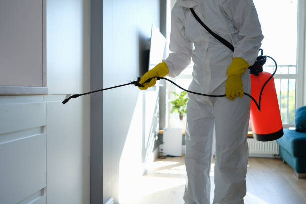 Best Local Mold Removal Service  in Williams, OR