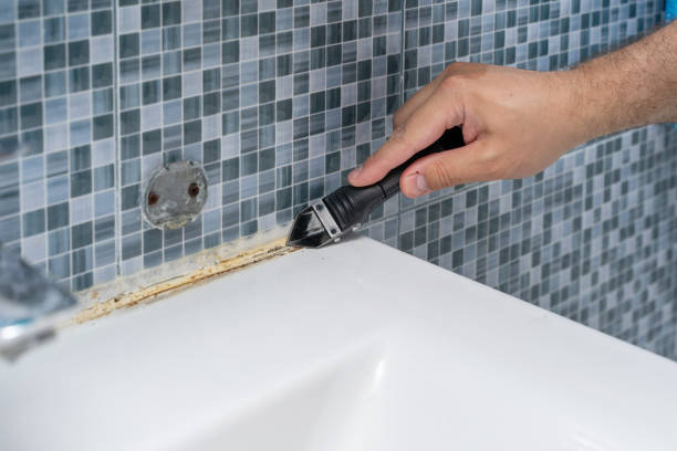 Best Certified Mold Removal  in Williams, OR