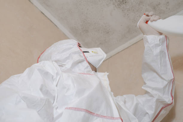 Best Emergency Mold Removal  in Williams, OR
