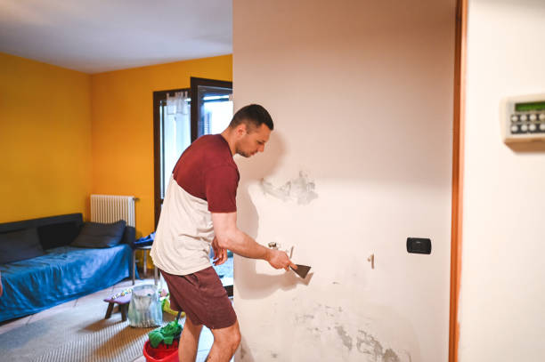 Best Home Mold Removal  in Williams, OR